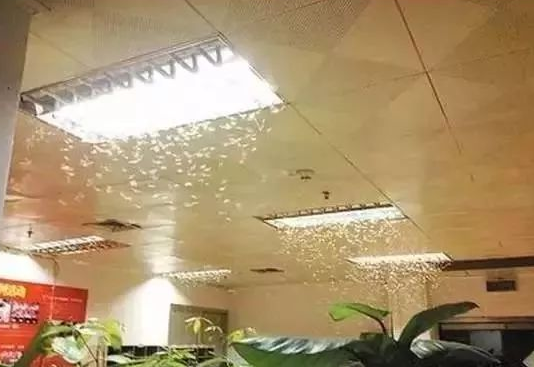 澄海白蚁站